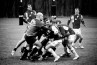 rugby