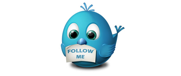 Twitter Follow Me