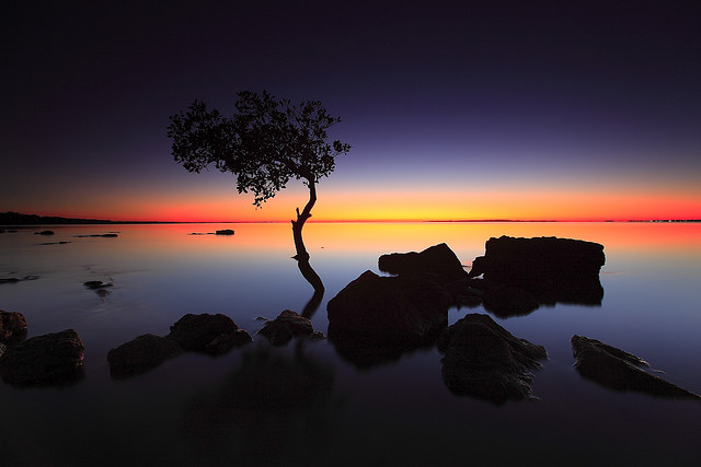 Amazing silhouette photo