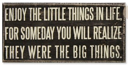 Enjoy the Little Things In Life