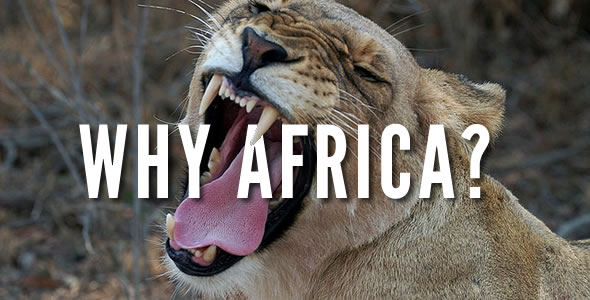 Why Africa
